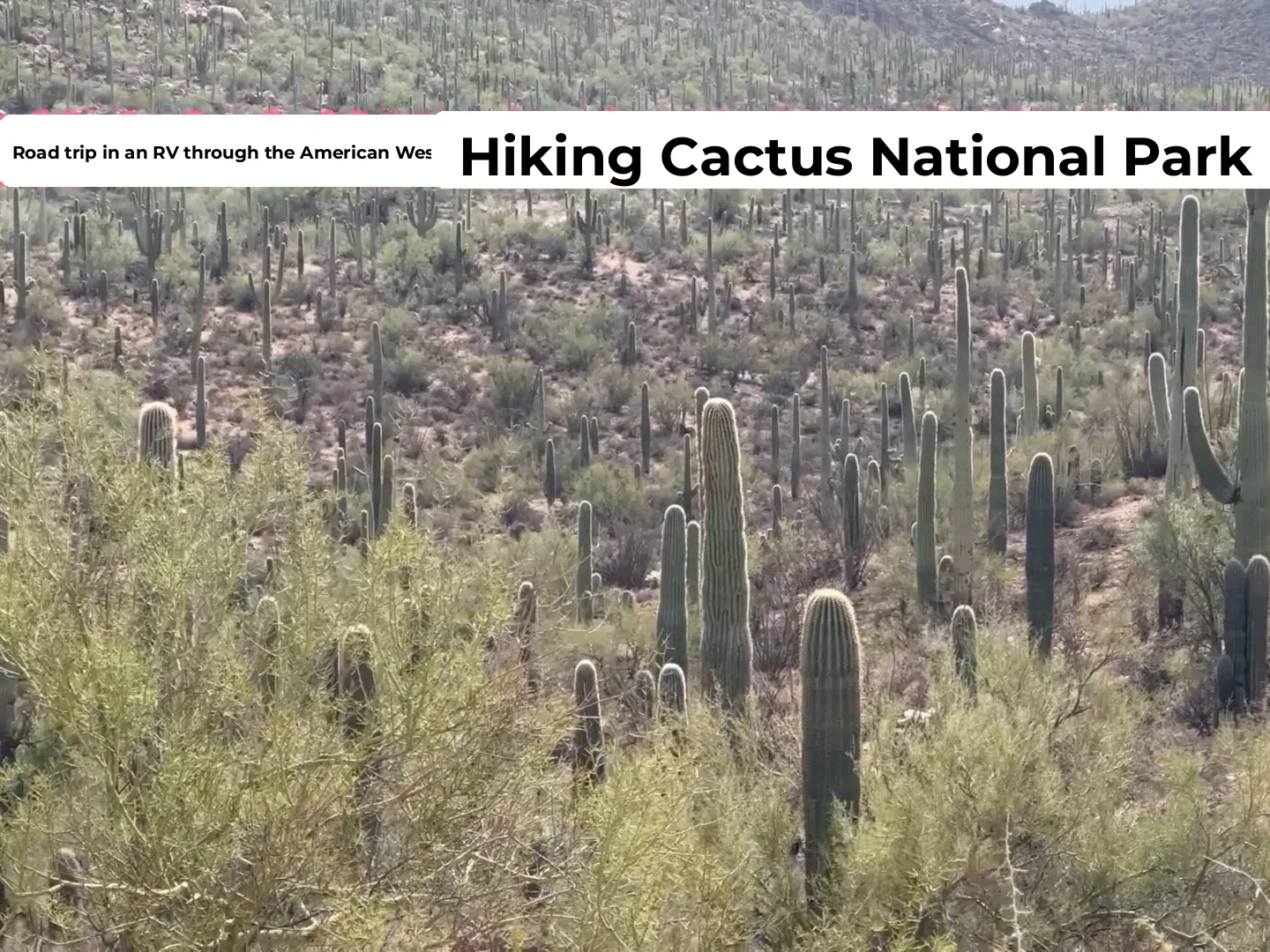 RV Road Trip Across the American West (10): Arriving in Tucson