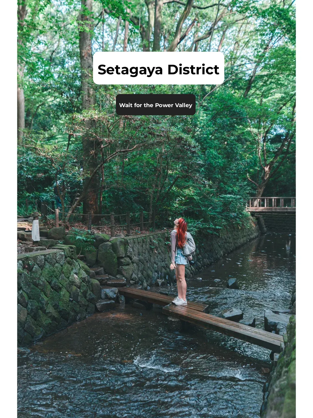 Hidden Gem Date Walk in Tokyo: Setagaya's Todoroki Ravine