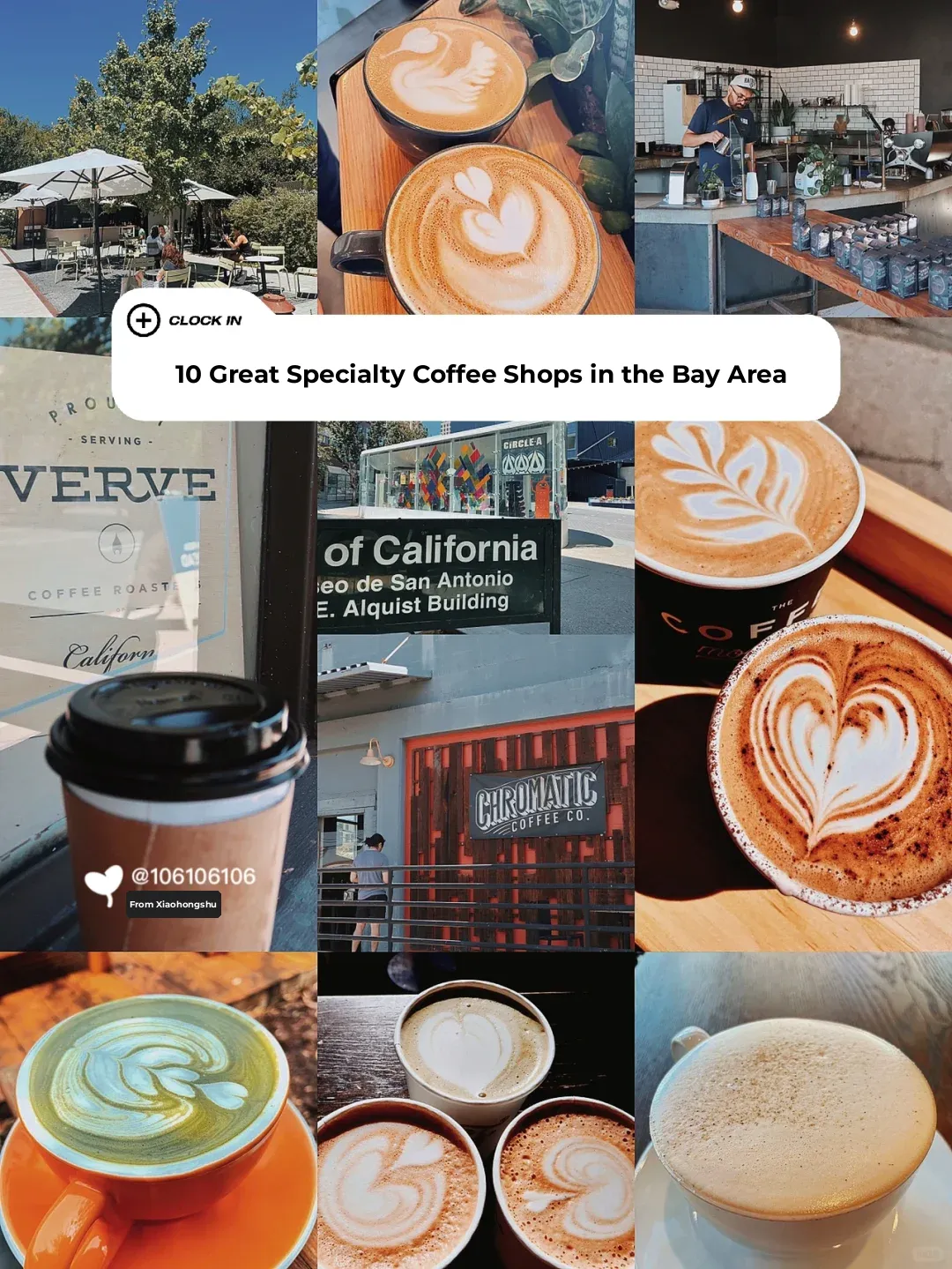 Top 10 Must-Try Specialty Coffee Spots in the Bay Area: A Comprehensive Guide