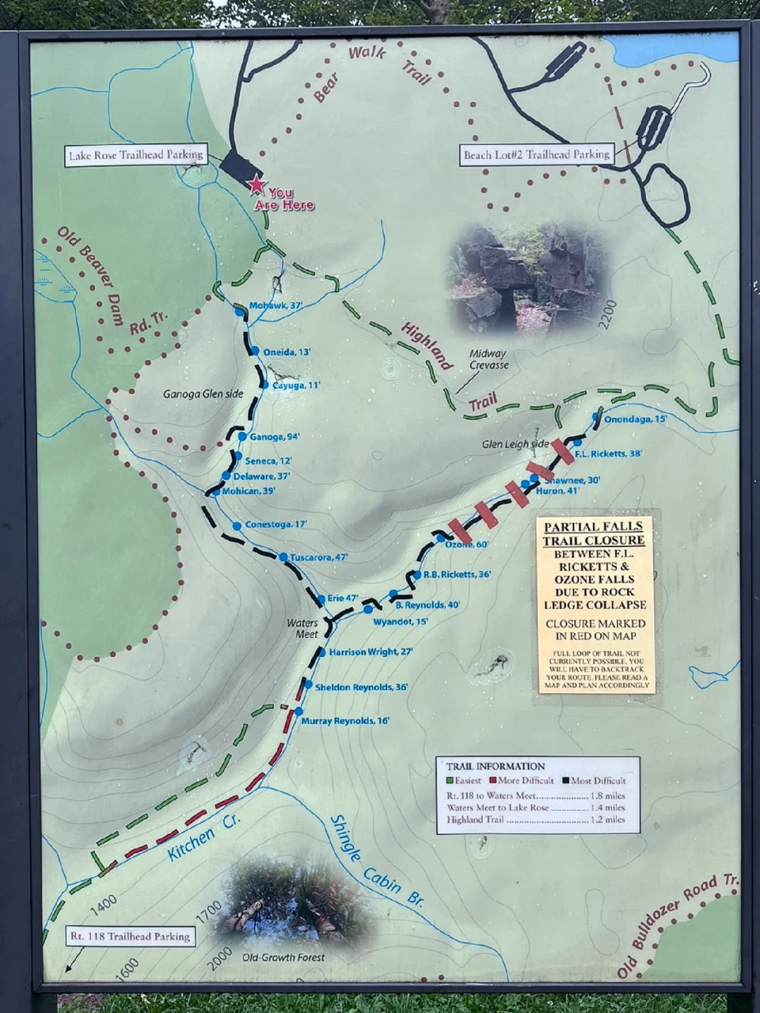 Camping at Ricketts Glen State Park ⛺️