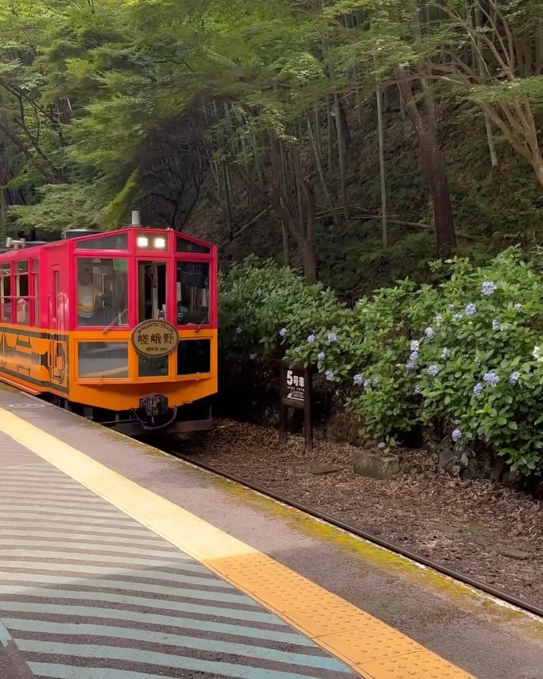 7-Day Slow-Paced Group Tour in Kansai, Japan 🥳 Including Kumano Kodo Hike 🔥