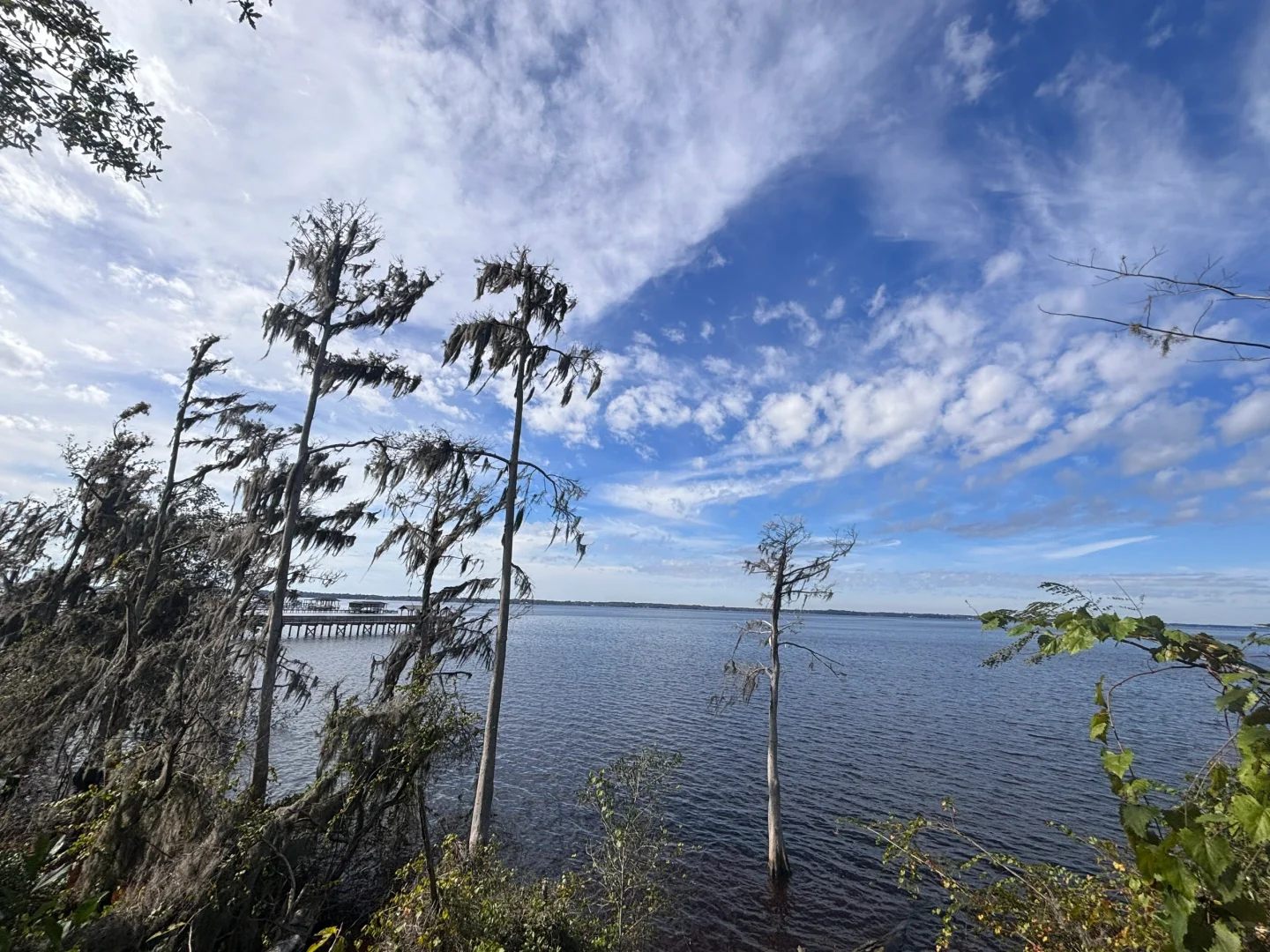 USA | Zero Negative Reviews for This Coastal Gem ⚠️⚠️⚠️