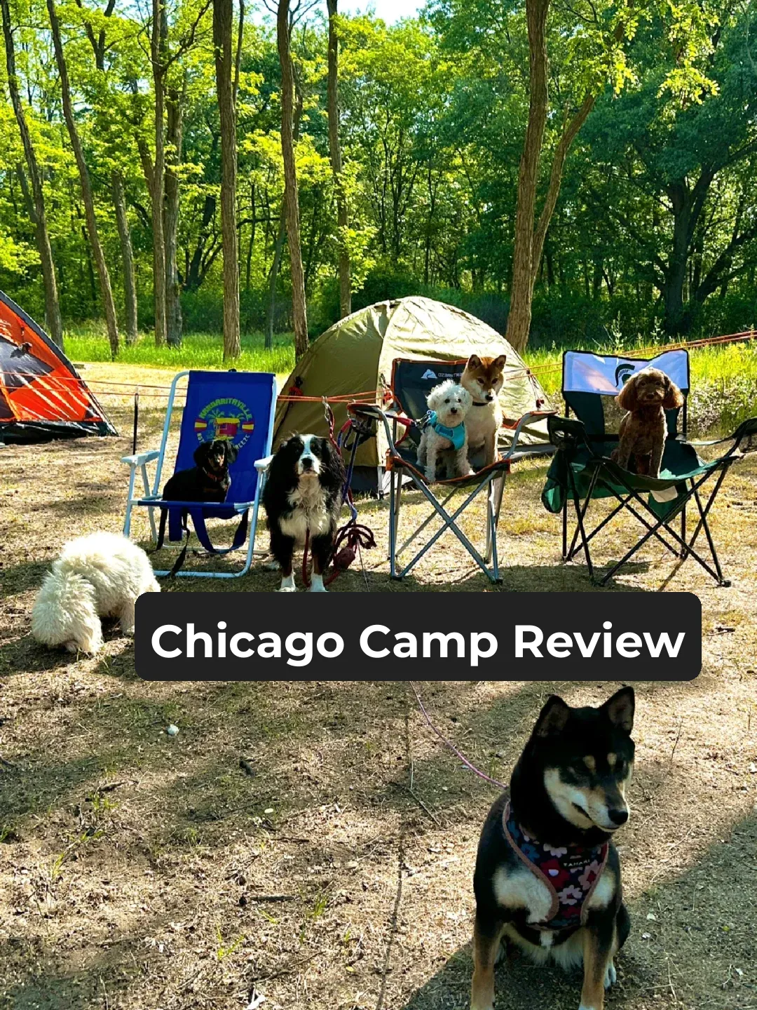 Chicago | Illinois Beach State Park