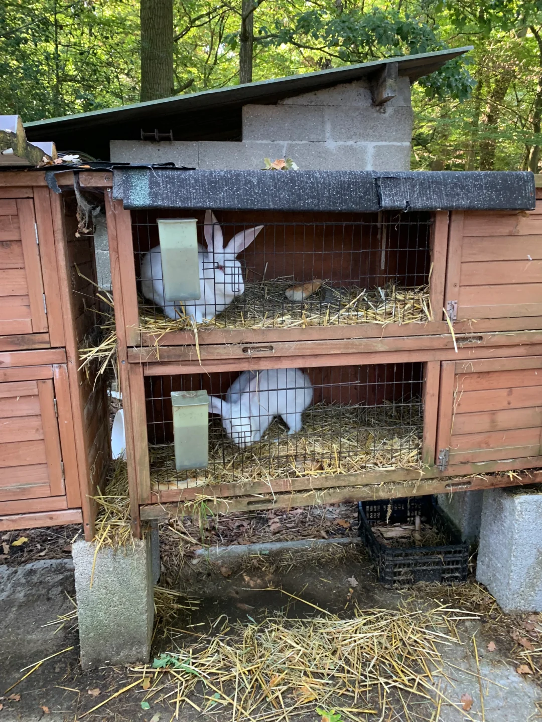 Day Trip Around Paris