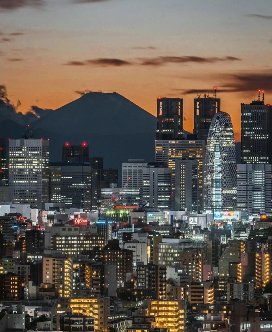 Tokyo ~ Free Stunning Observation Deck with a View of Mount Fuji in Winter
