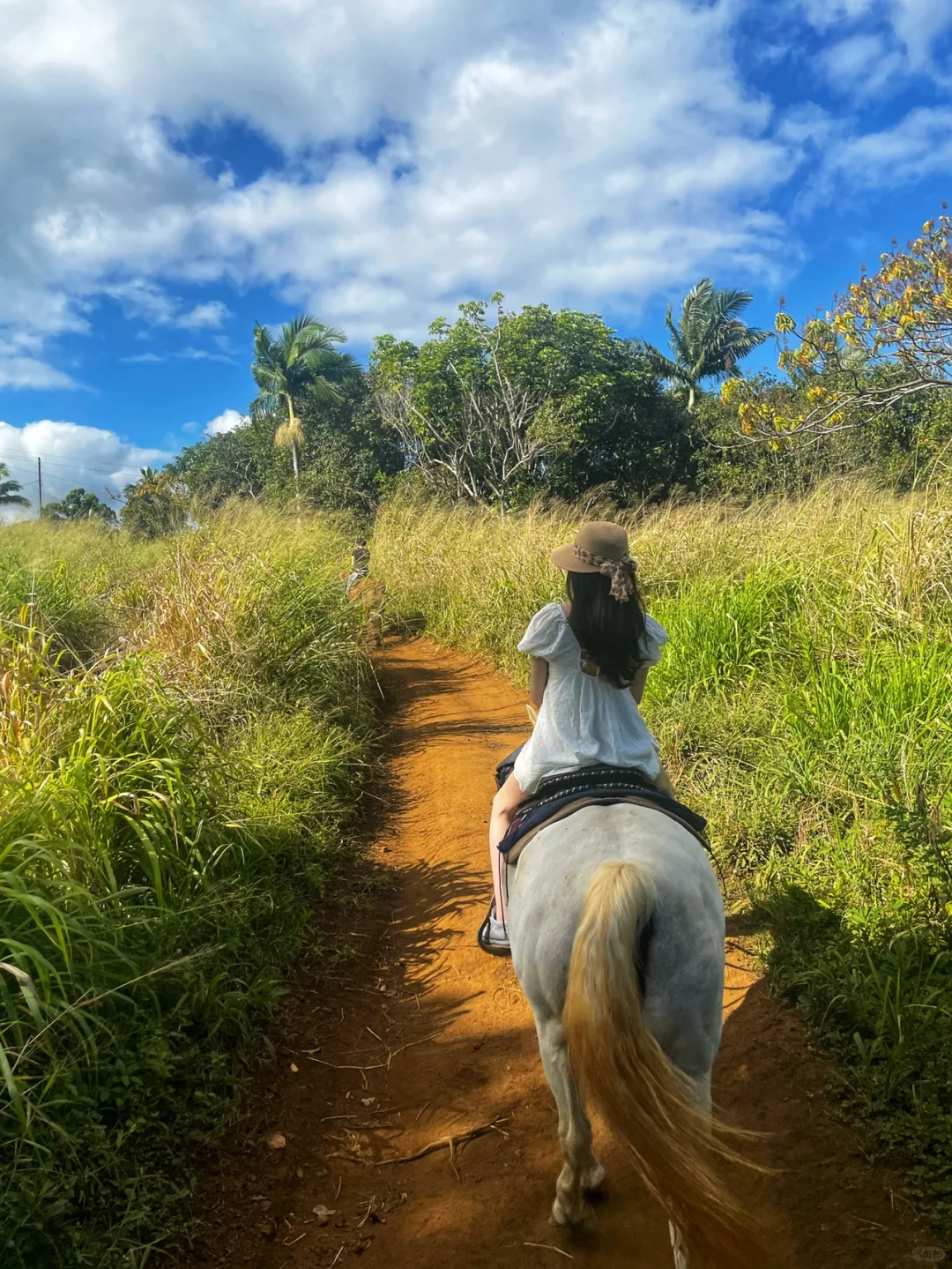 Hawaii's Big Island Food Guide (Part 3): Hilo Edition
