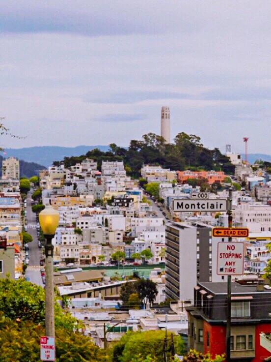 San Francisco, USA 🌉 One-Day Adventure | A Perfect Blend of Modernity and Classic Charm