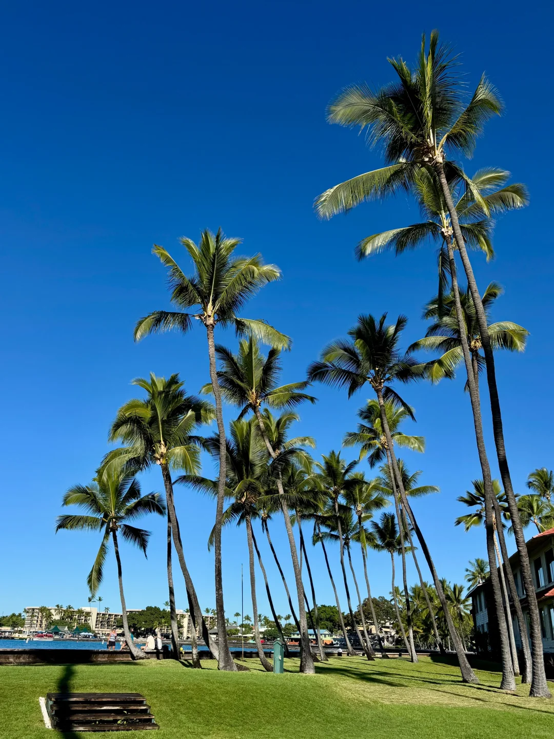 Thanksgiving Getaway: 4-Day, 3-Night Guide to Hawaii's Big Island + Oahu (Part 2)