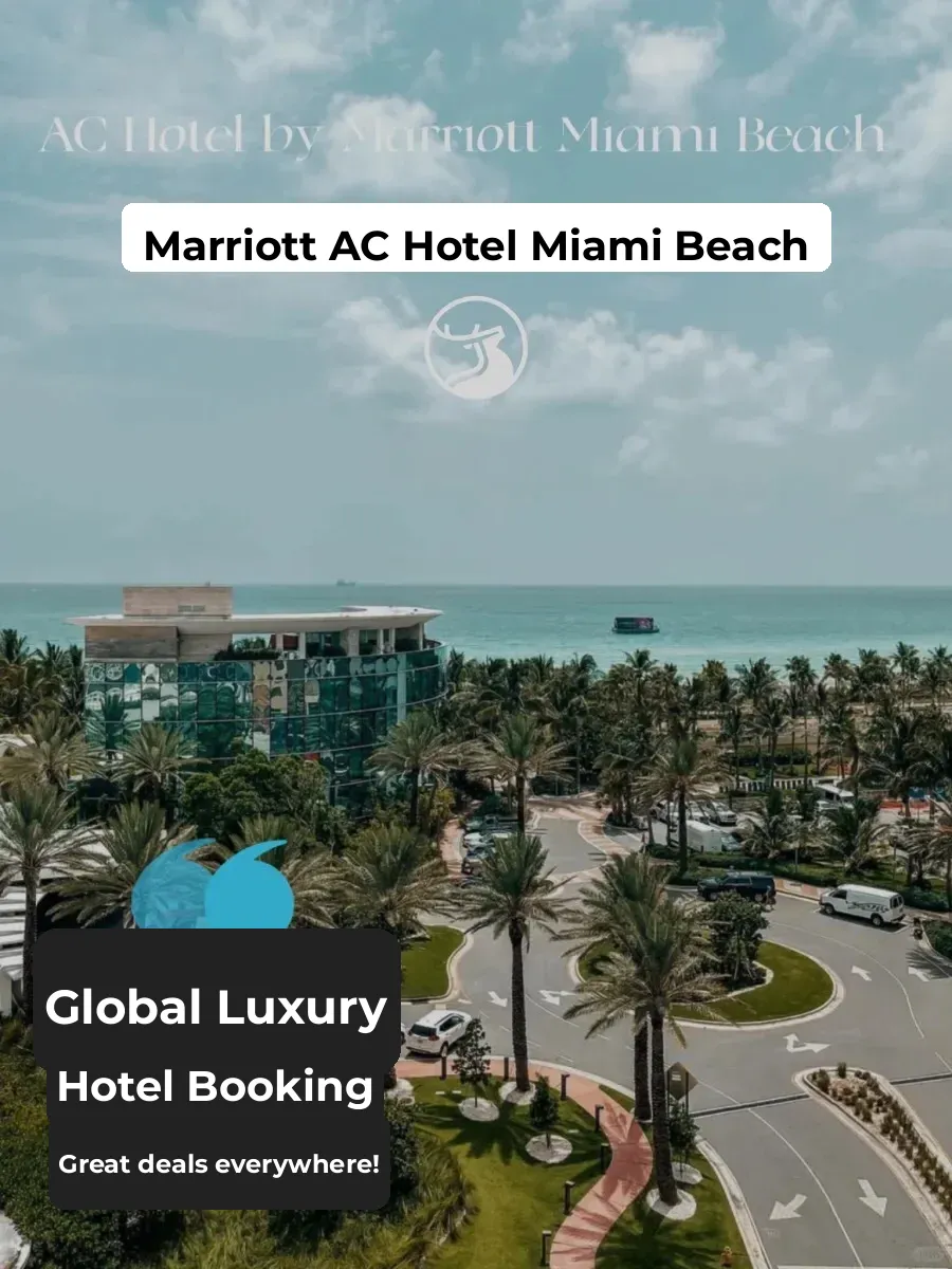 This Miami Beach hotel is an absolute steal, like for real! 😂😂😂