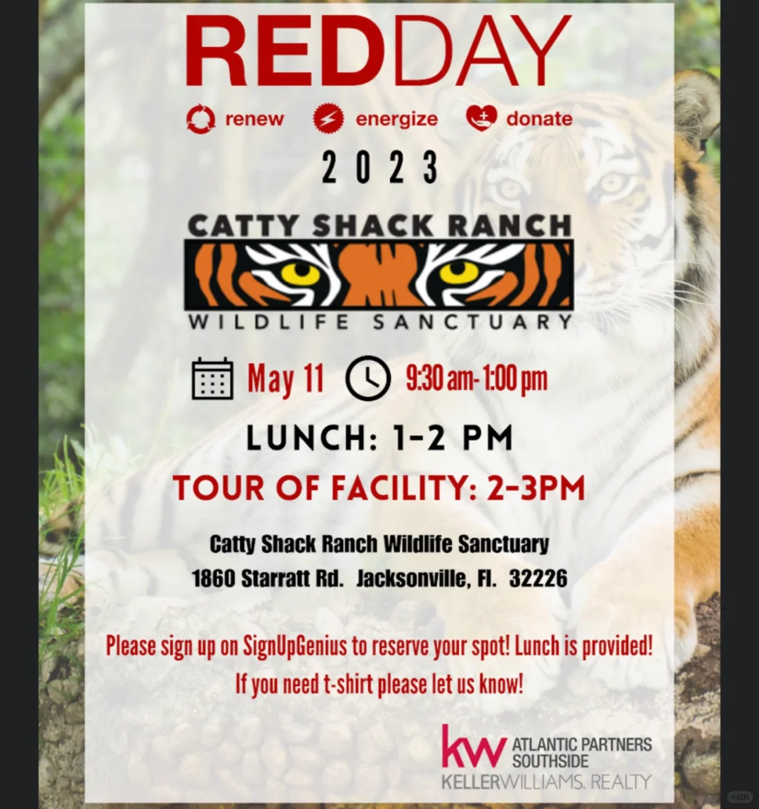 Volunteer Experience at Catty Shack Ranch