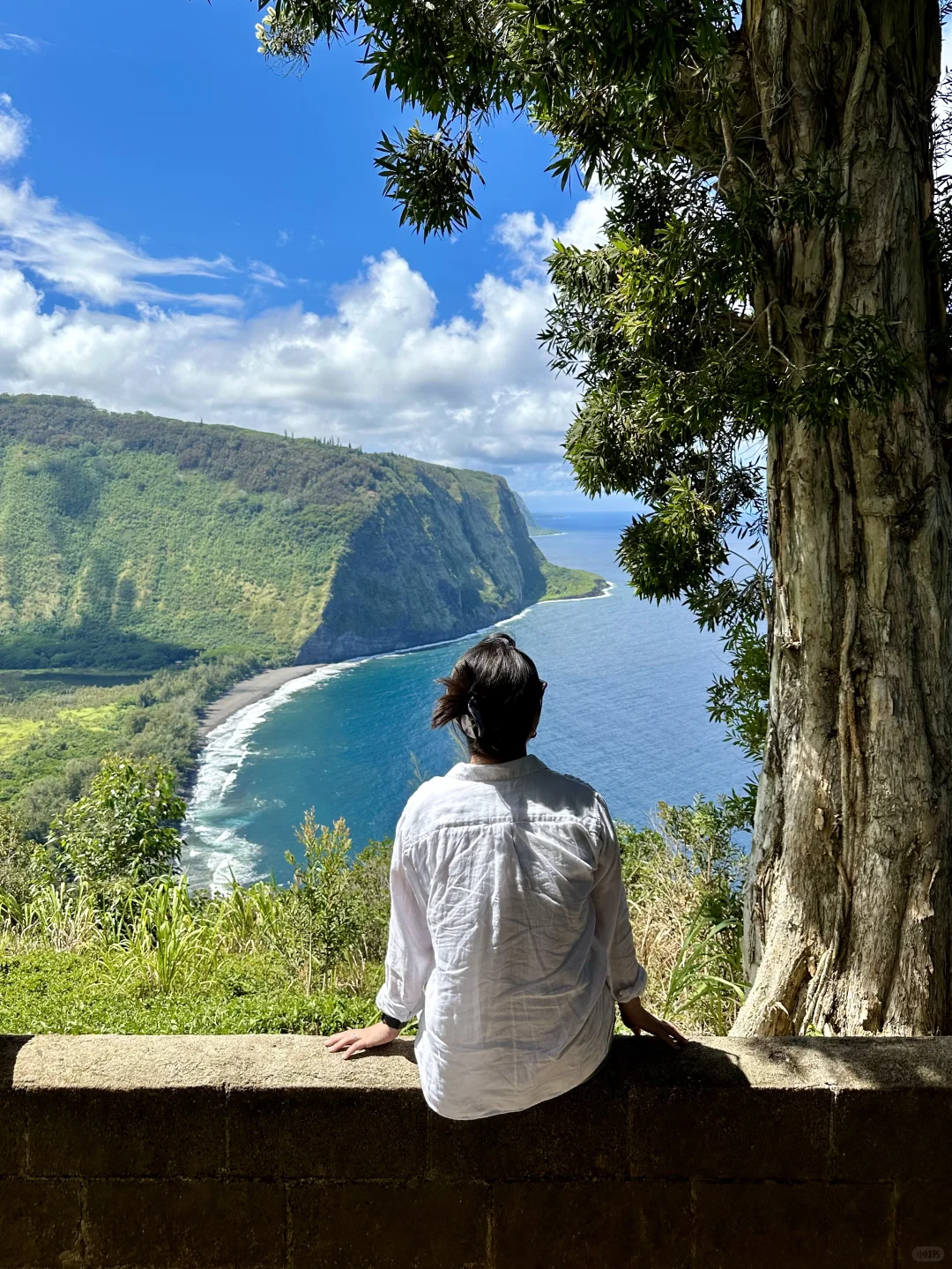 Hawaii Big Island | Waipio Valley (King's Valley) Tour Experience