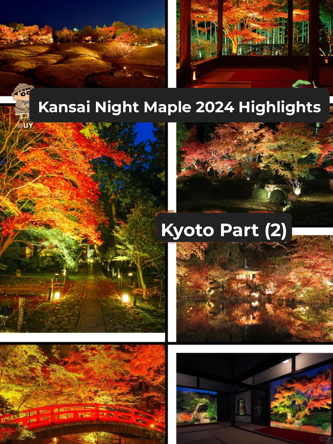Japan Kansai Night Maple 🍁 2024 Mega Roundup: Kyoto Edition (Part 2)