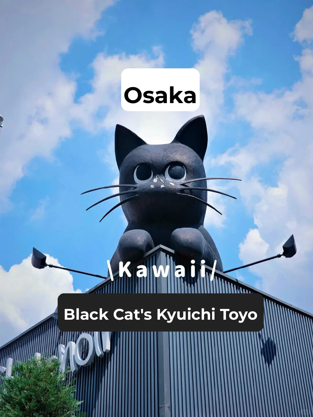 🐈‍⬛ Black Cat-Themed Café