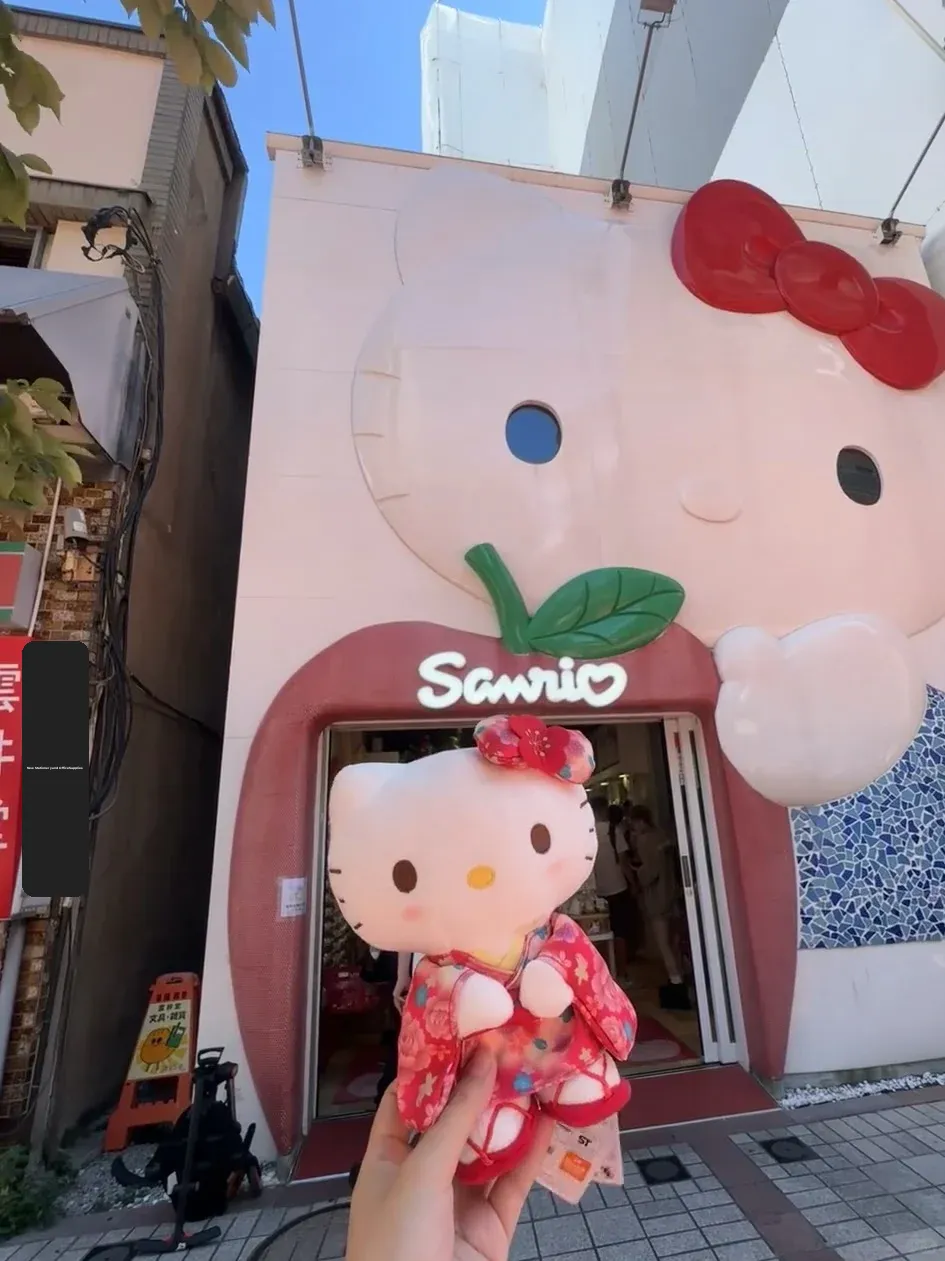 🇯🇵 For These 15 Things!!! I Flew All the Way to Tokyo