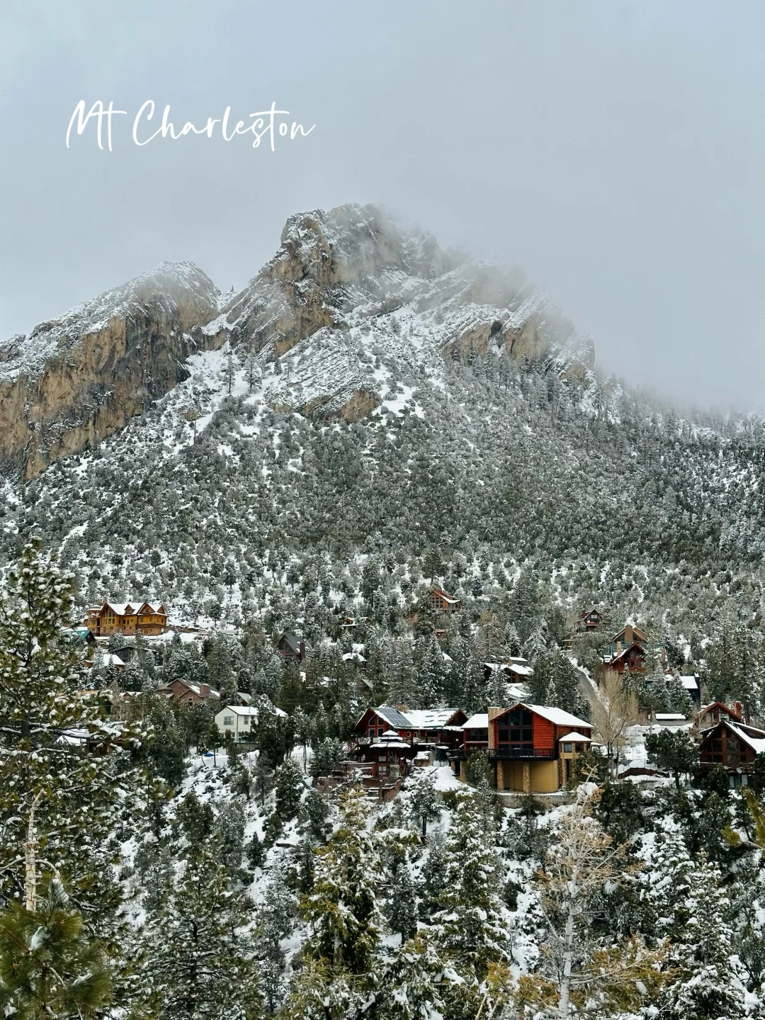 Hidden Gems of Las Vegas: Charleston Mountain