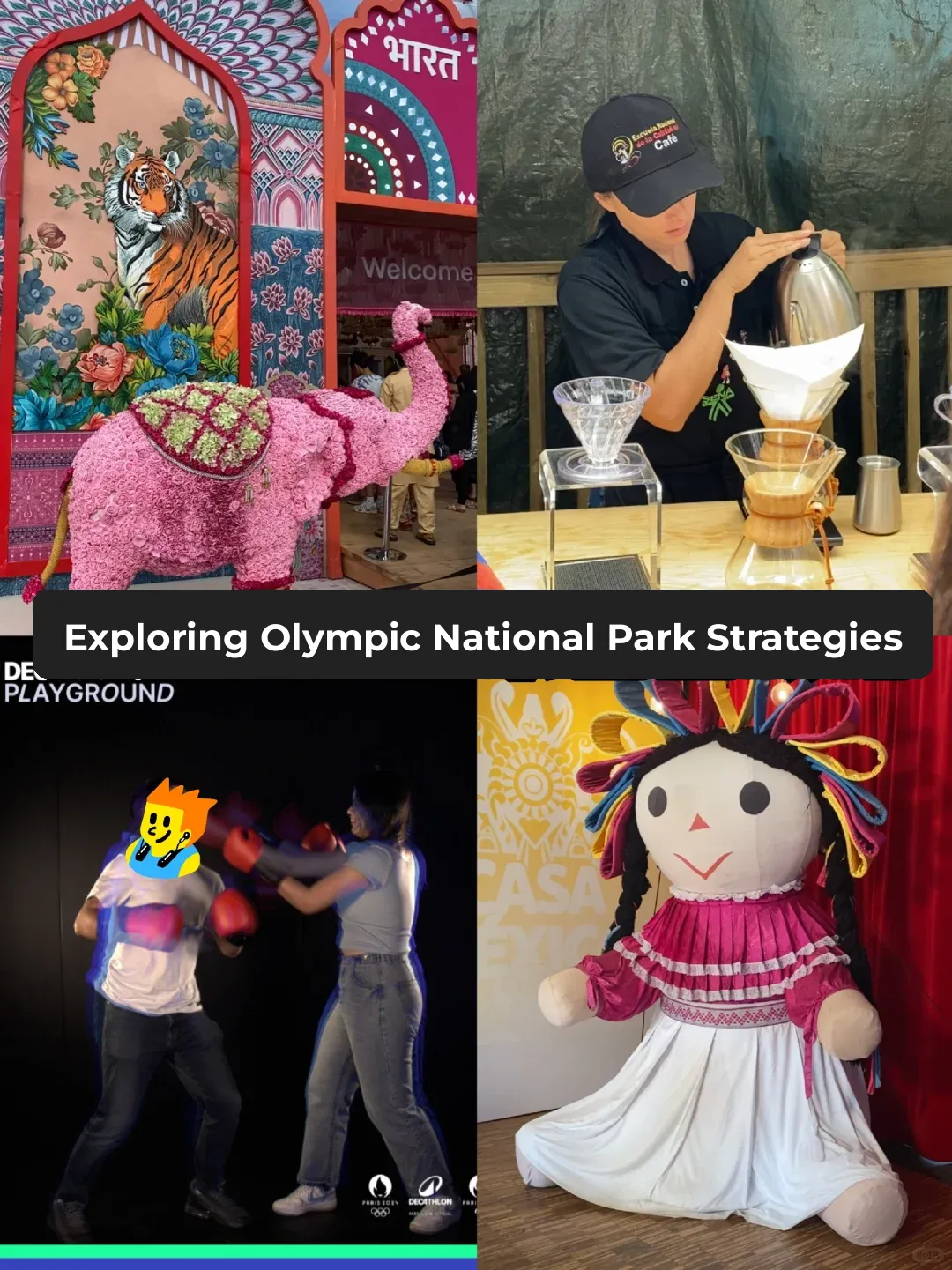 【Paris Olympics】Unleash the Fun in National Parks: A Day Tour Around the Globe