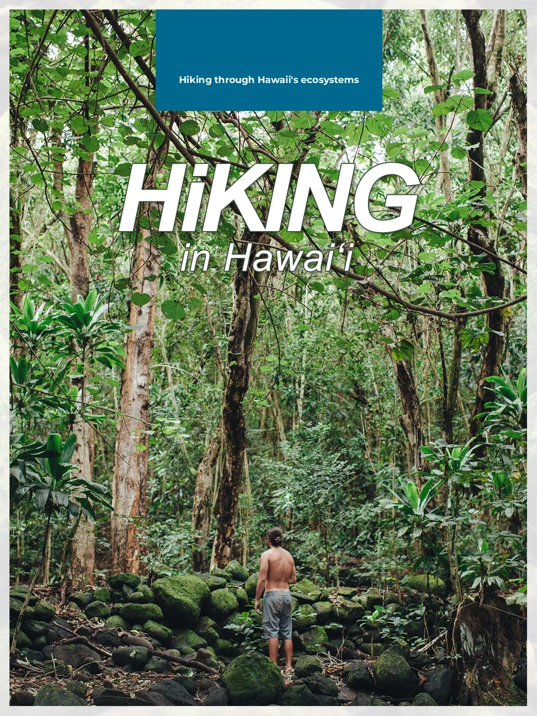 "Mountain Mondays | Hidden Eco-Hiking Gem in Hawaii's Magical Natural Wonderland"