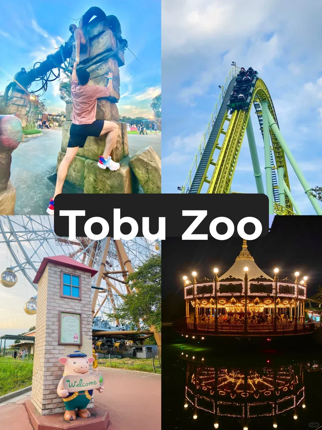 Ultimate Guide to Tokyo's Best Amusement Parks | JAL Japan Explorer Pass