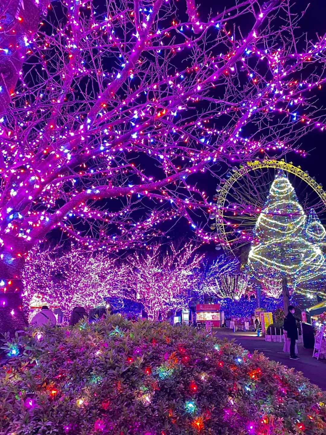 Japan Travel 🎠 Get Ready for the Ultra-Romantic Gem Light Show at the Amusement Park!