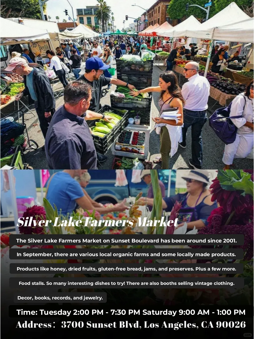 LA's Must-Visit Farmer's Markets Roundup! Super Fun!