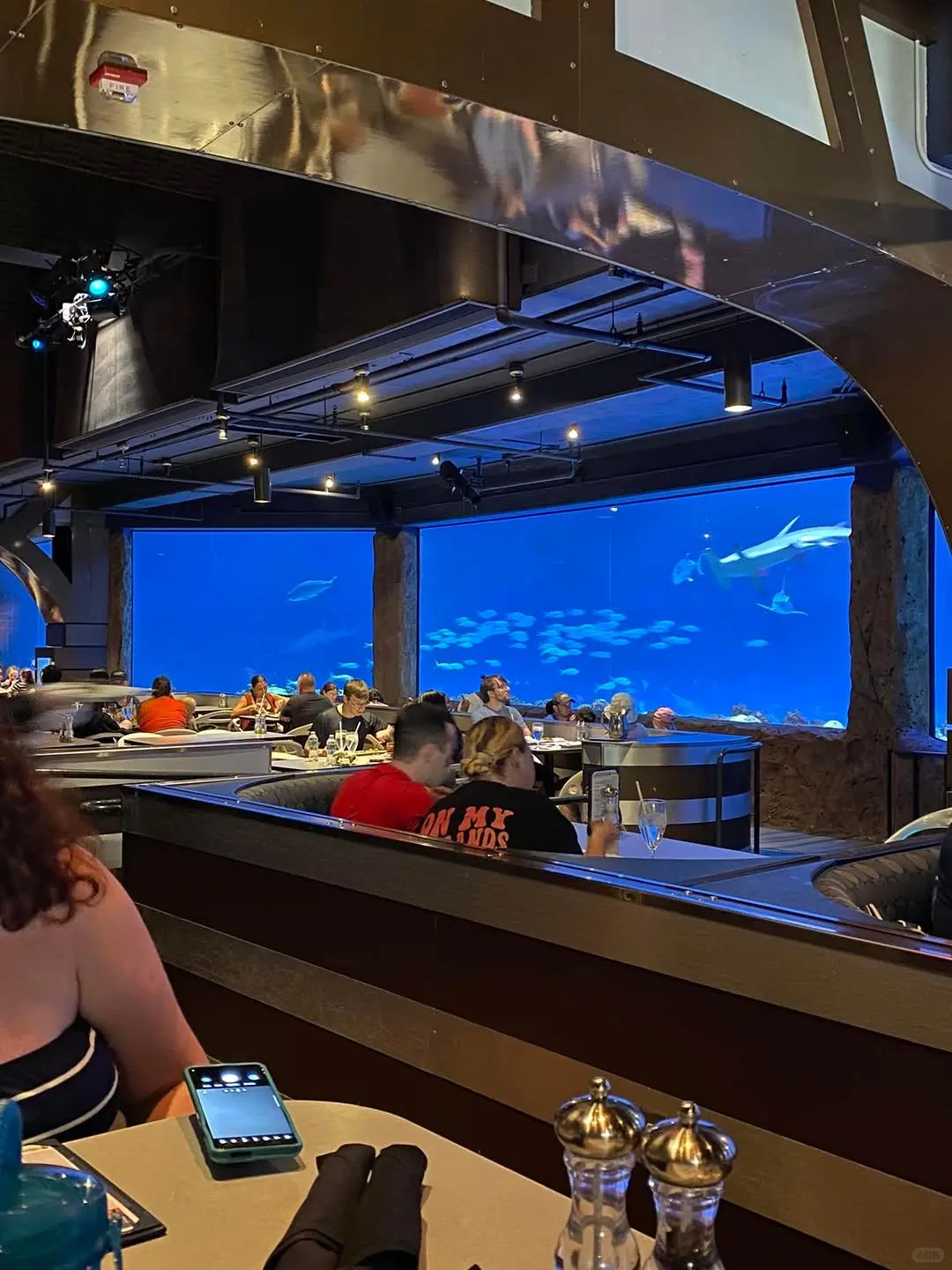 Romantic Dining at Orlando’s Stunning Underwater Restaurant 🌊🍽️