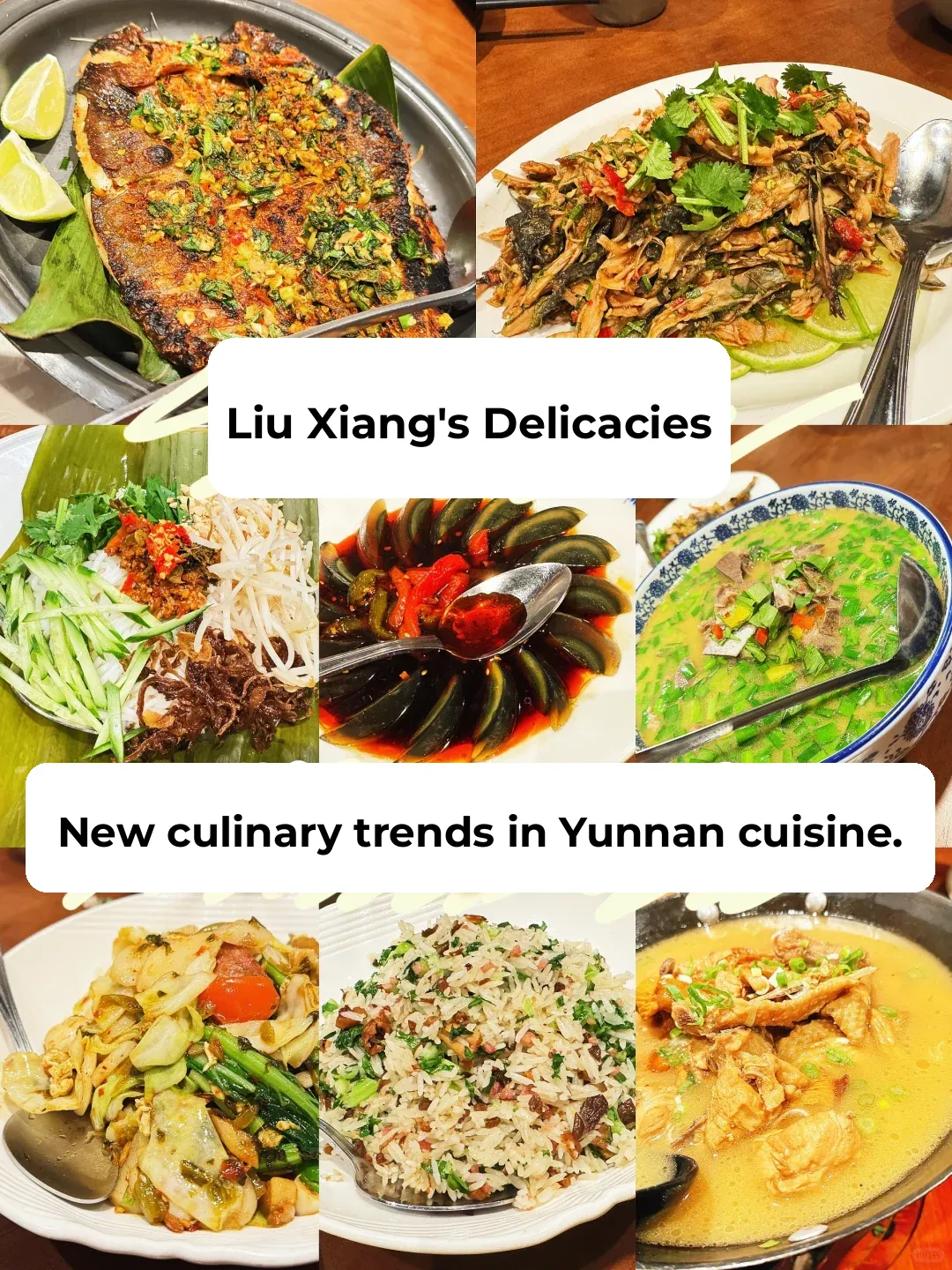 Bay Area Eats 🥢 | The New Culinary High for Yunnan Cuisine ✨ Liu Xiang · Casual Gathering
