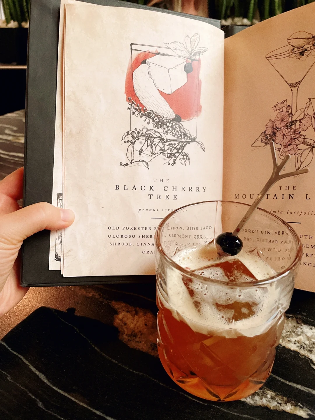 San Diego Bars | Calling All Ladies Who Love a Good Drink!