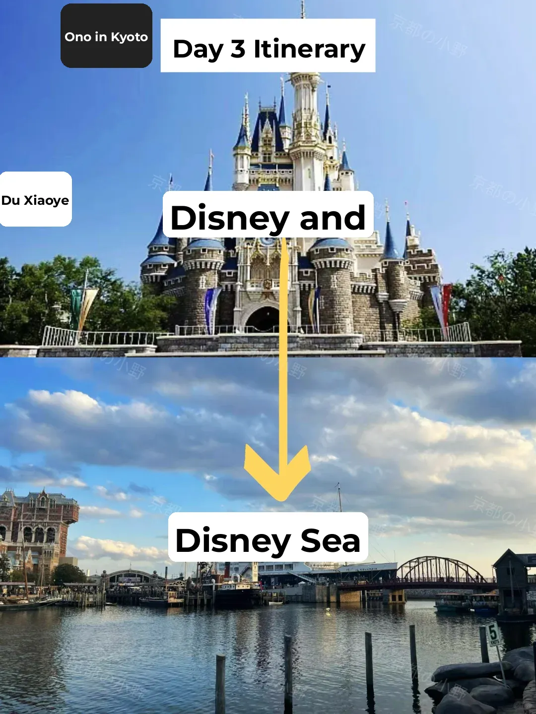 Guide｜🇯🇵 Finally, Someone Clarified Tokyo Travel! ‼️