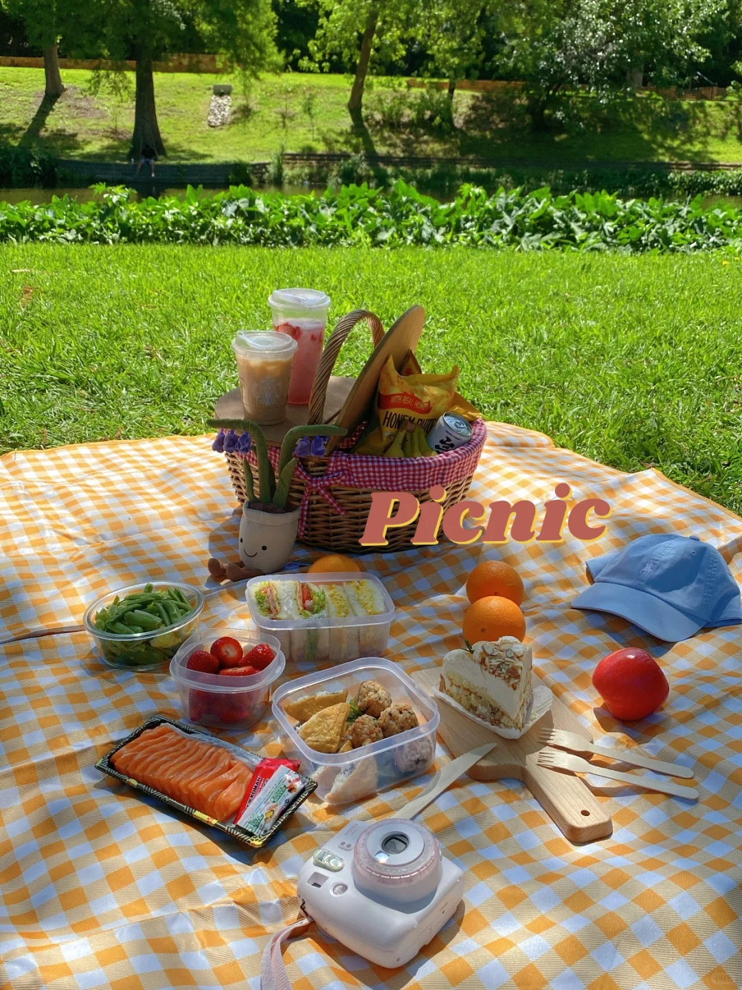 Let's Go on a Picnic! ��💐