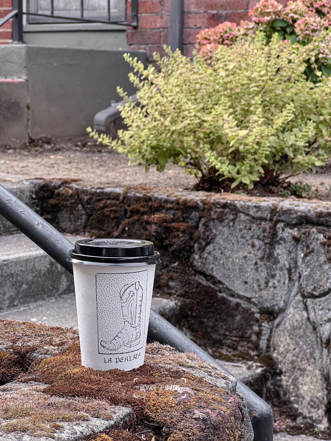 Portland Day 2 | Fried Chicken-Flavored Ice Cream and My Dream Noodles at Afuri
