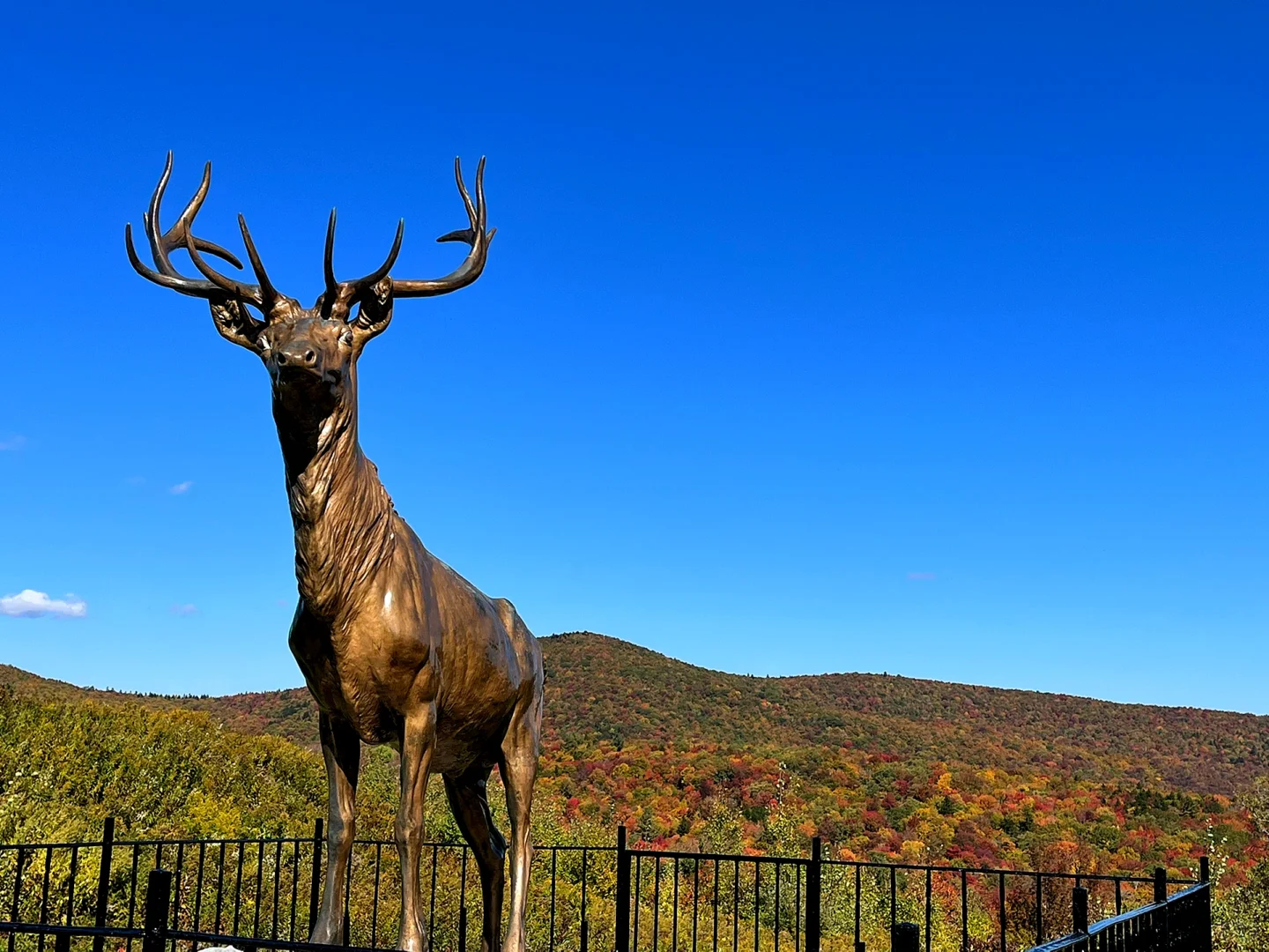 Best Fall Foliage Near Boston 🍁 Hike to the Highest Point in Massachusetts!