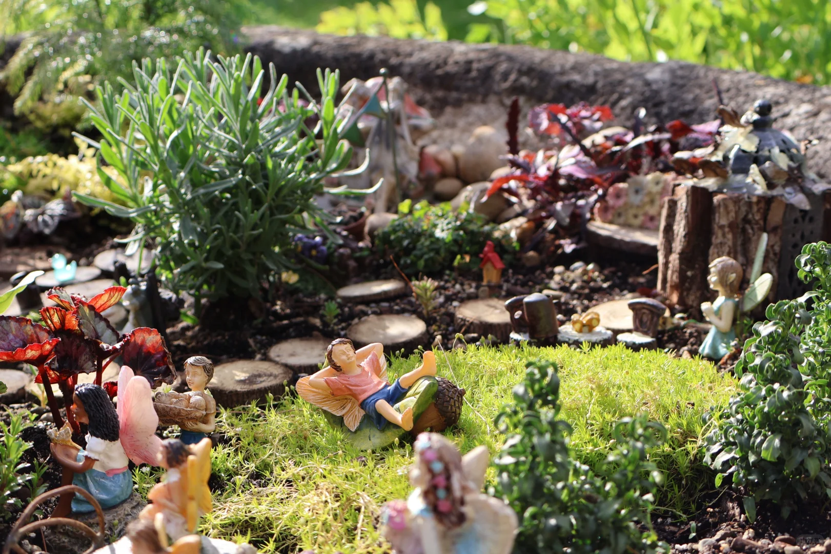 Free Photo Spots & Animal Sightings Around Cleveland/Akron