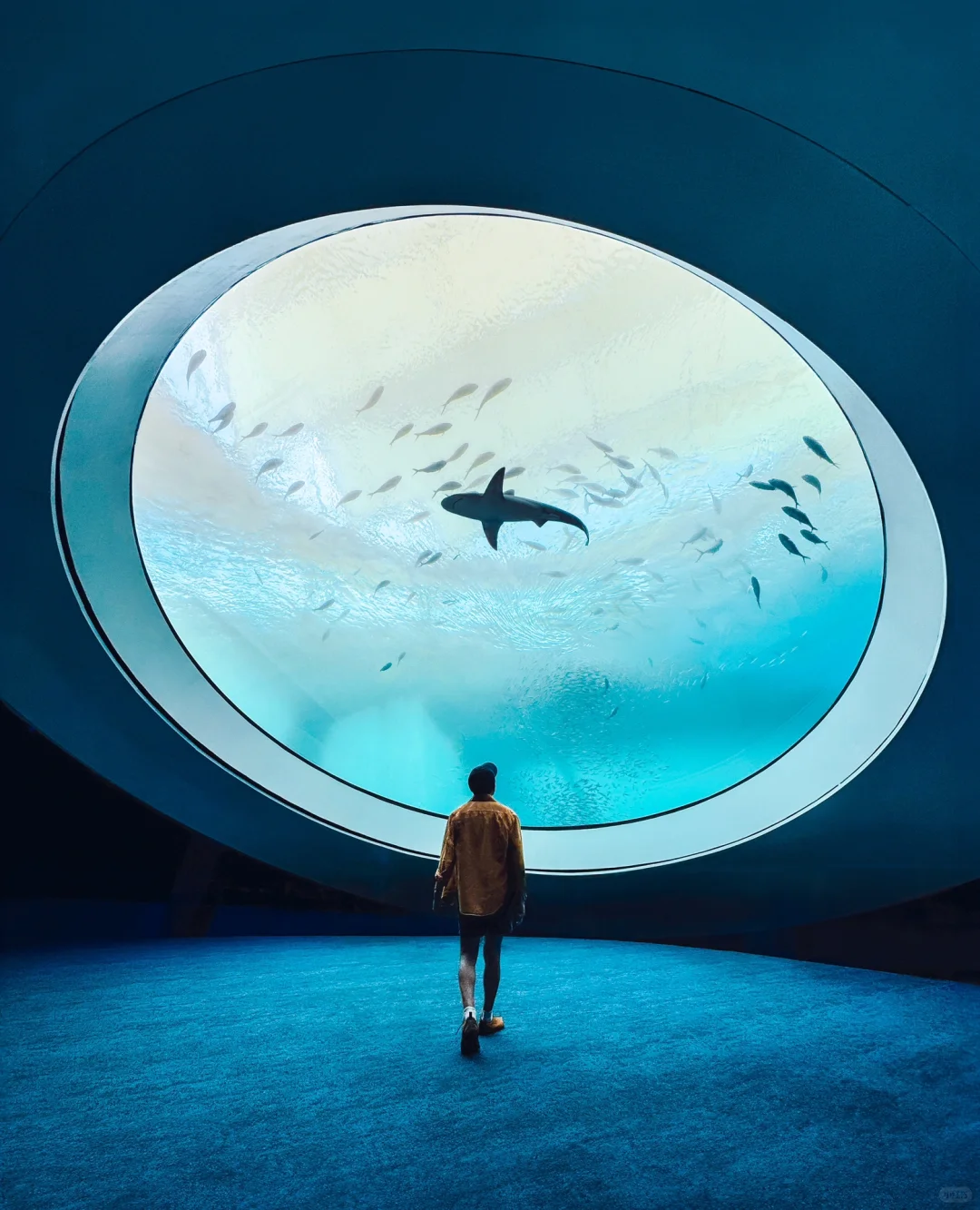 Living the Warm and Vibrant Winter in Miami ☀️