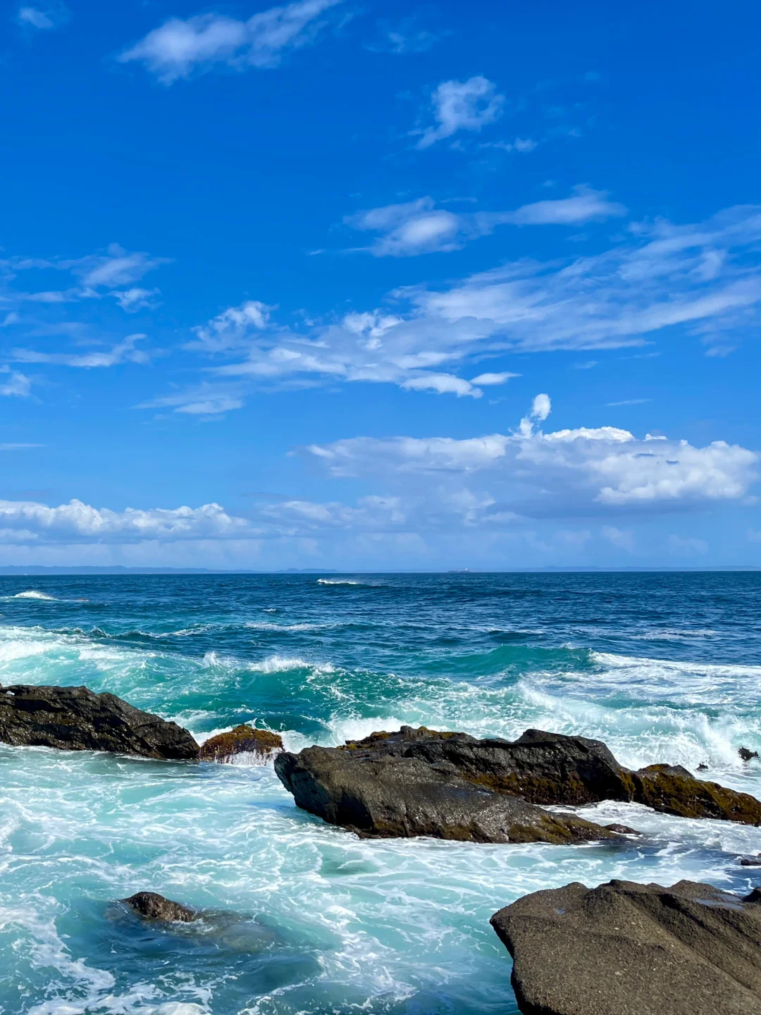 Hidden Gem Alert: Tokyo's Coastal Gems You Never Knew About