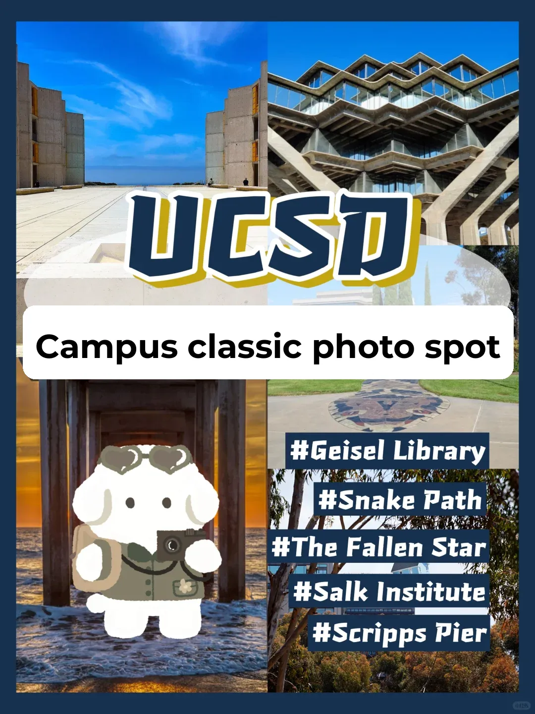 Must-Visit Spots at UCSD📍 You Won't Believe How Stunning They Are Until You See Them! 😍