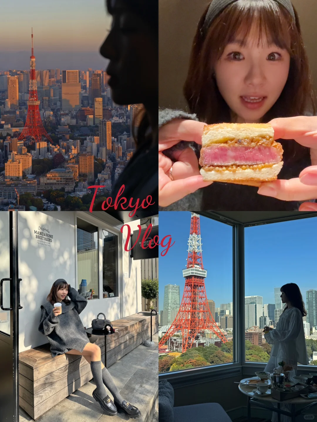 Tokyo🗼 A Perfect Day of Exploring and Eating: Solo Bliss in Tokyo Without the Kids