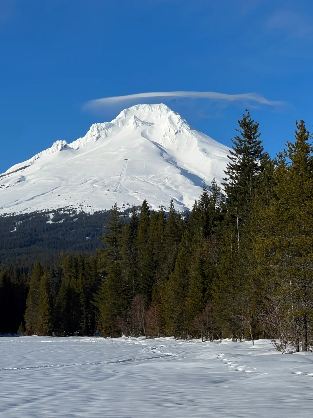 "Mini Hiking Trails Around Portland"