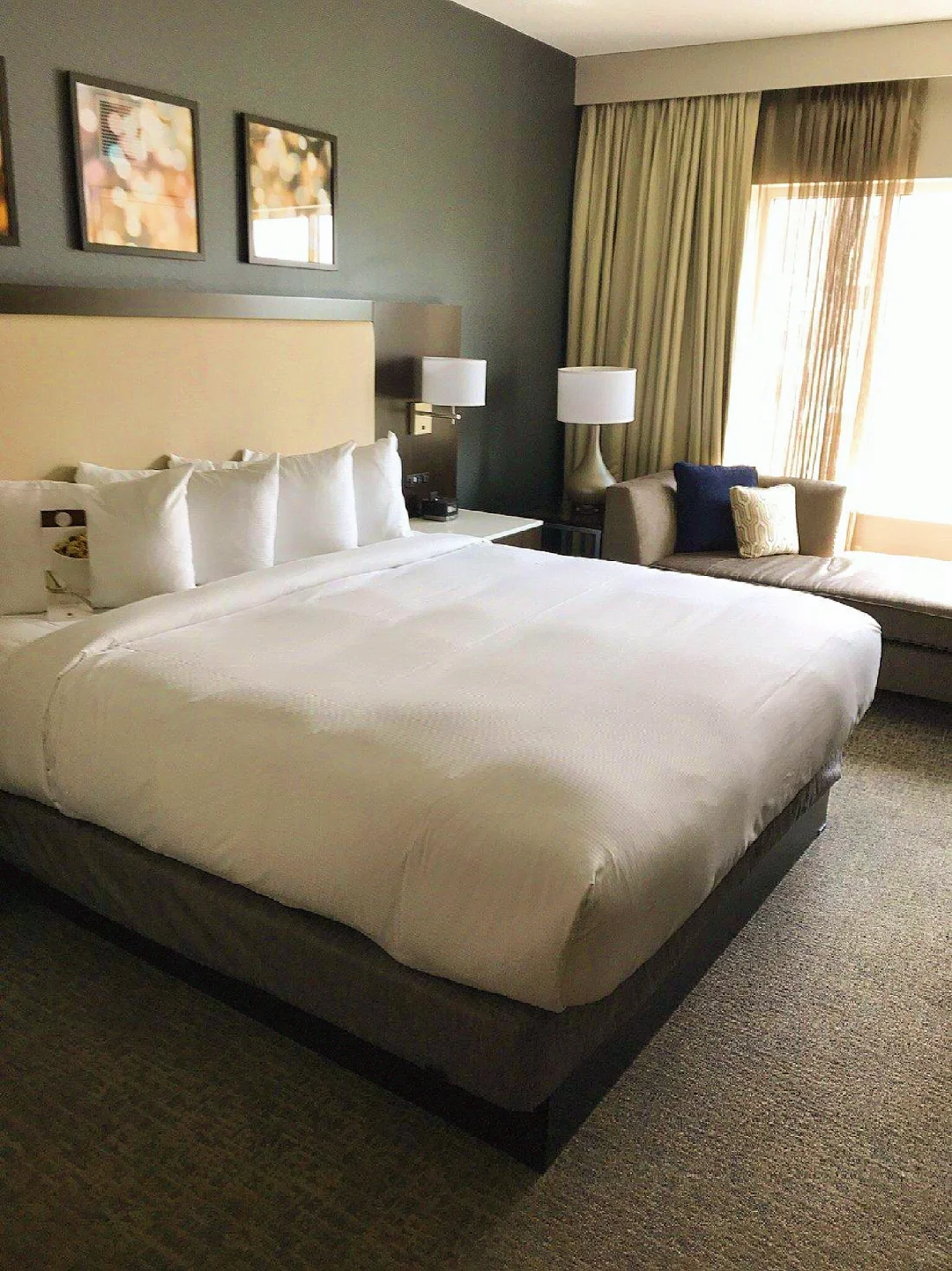 "Shocked! This Hotel in Mingyi is Surprisingly Affordable and Comfortable 😭"