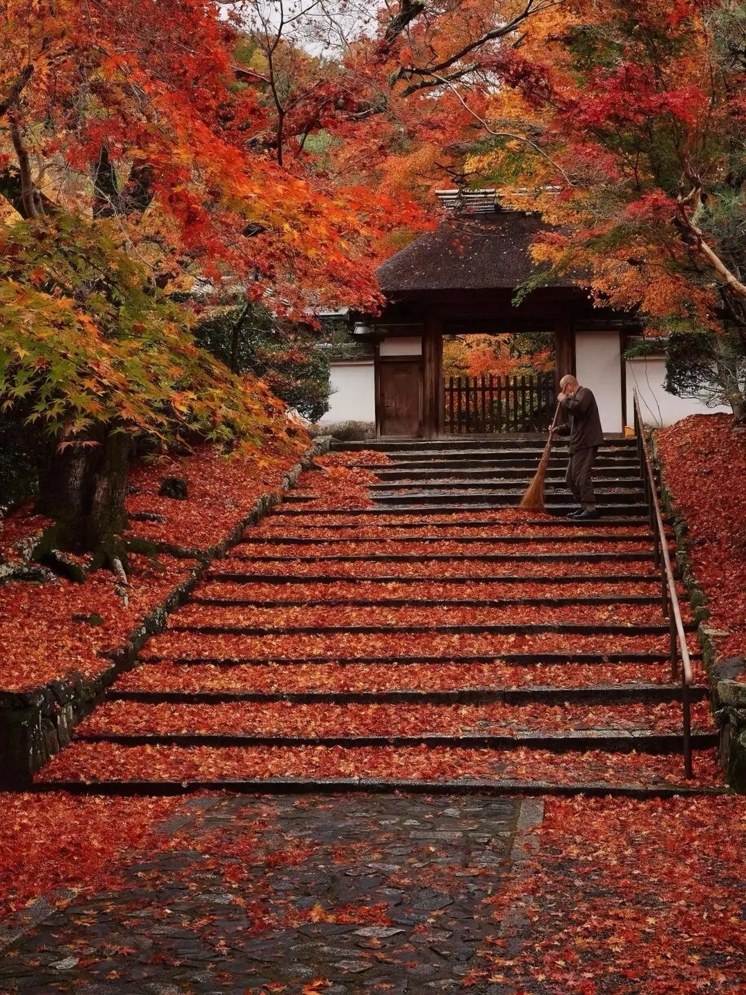 Kyoto's Top 7️⃣ Most Stunning Temple Gardens in Autumn