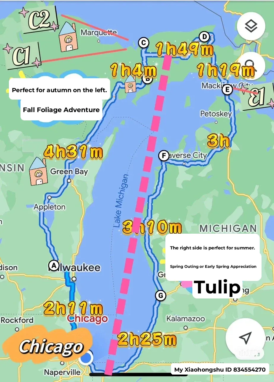 Michigan: Autumn Foliage 🍁, Spring Tulips 🌷, and Summer Beach Fun 🏖️