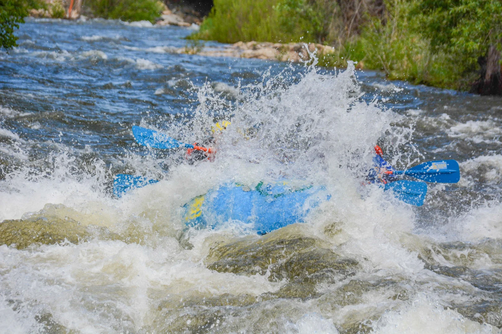 Wandering Denver - Top Fun Activities to Try!