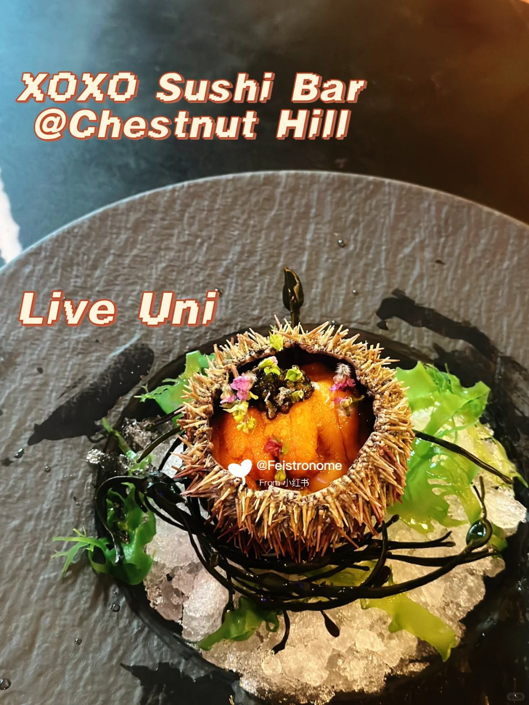 Boston | 🇺🇸 Chef's XOXO Sushi Exceeds Expectations with Delightful Surprises 😍