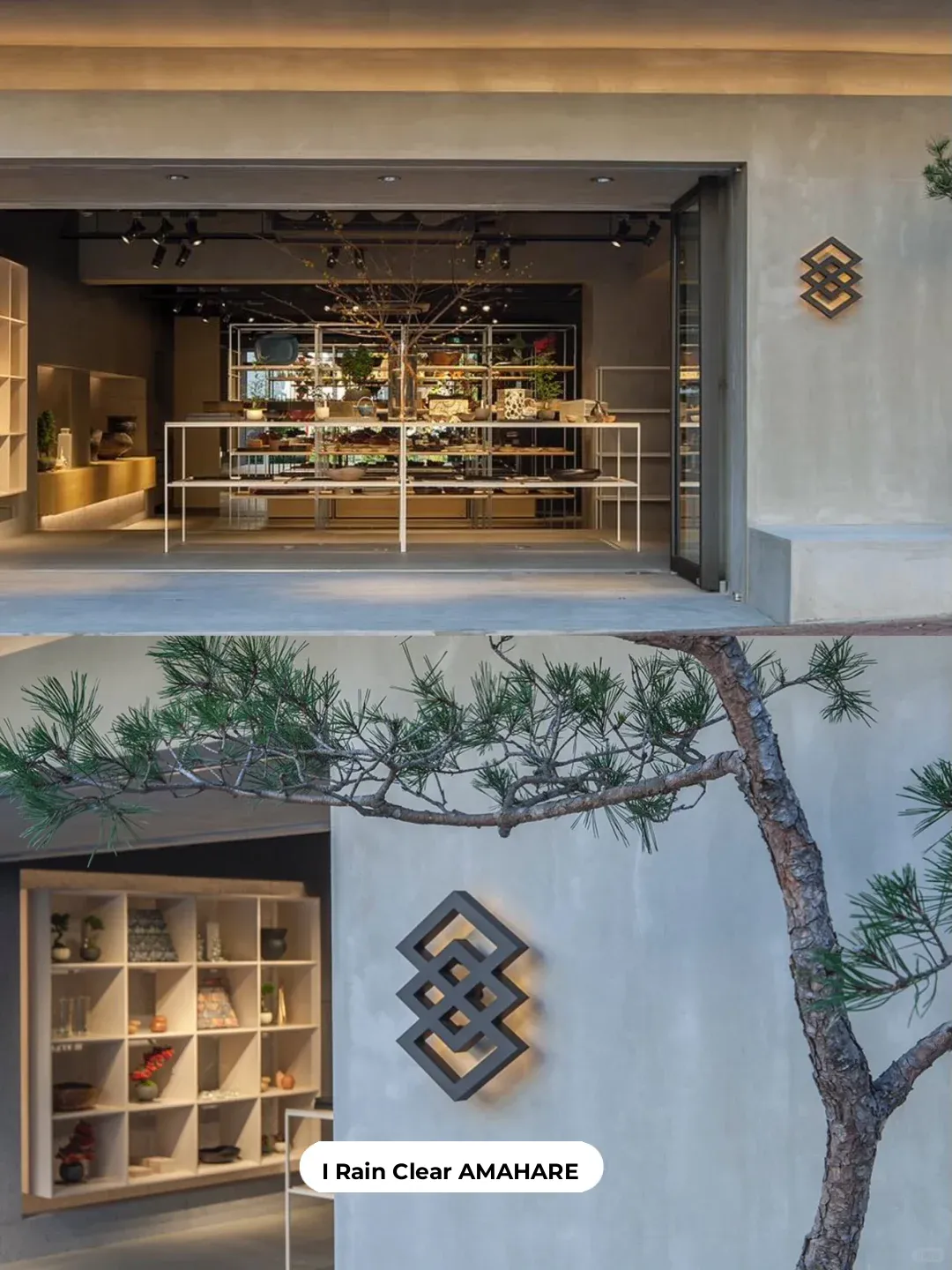 Lost & Found: 6 Must-Visit Ceramic Shops in Tokyo for Book Lovers