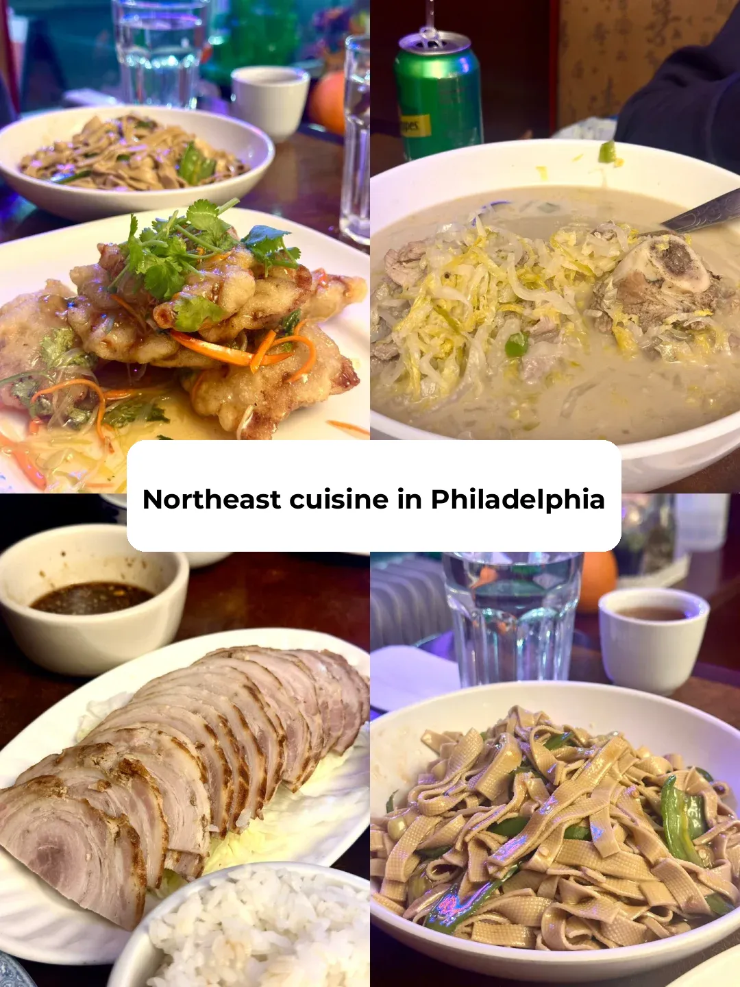 Philadelphia Food Guide | Hidden Northeastern Chinese Cuisine in the City Center 🍲