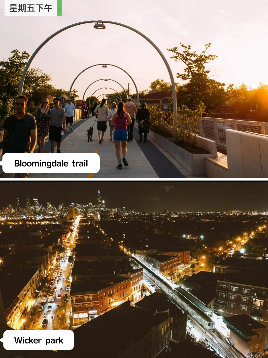 "Chicago Travel Guide: Unlock the City with This In-Depth NYTimes Itinerary"