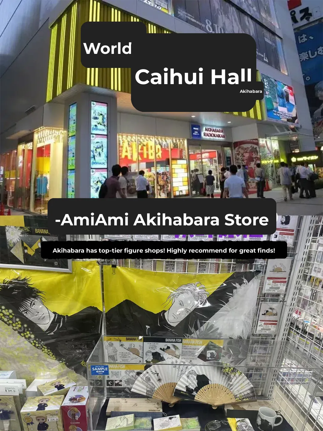 Gotta Be Quick and Precise When Collecting Merch! Here's the Prepped Guide You Need!