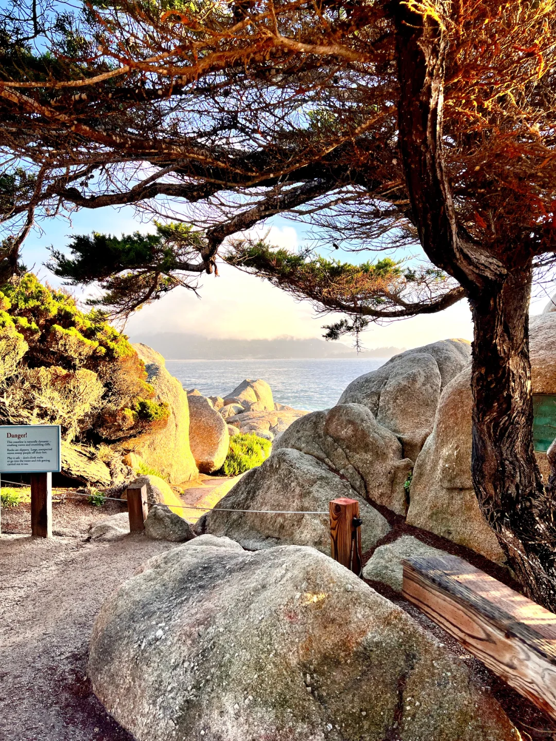 🚗 17-Mile Drive | The Most Dreamlike Coastal Highway in the Western U.S. ✨