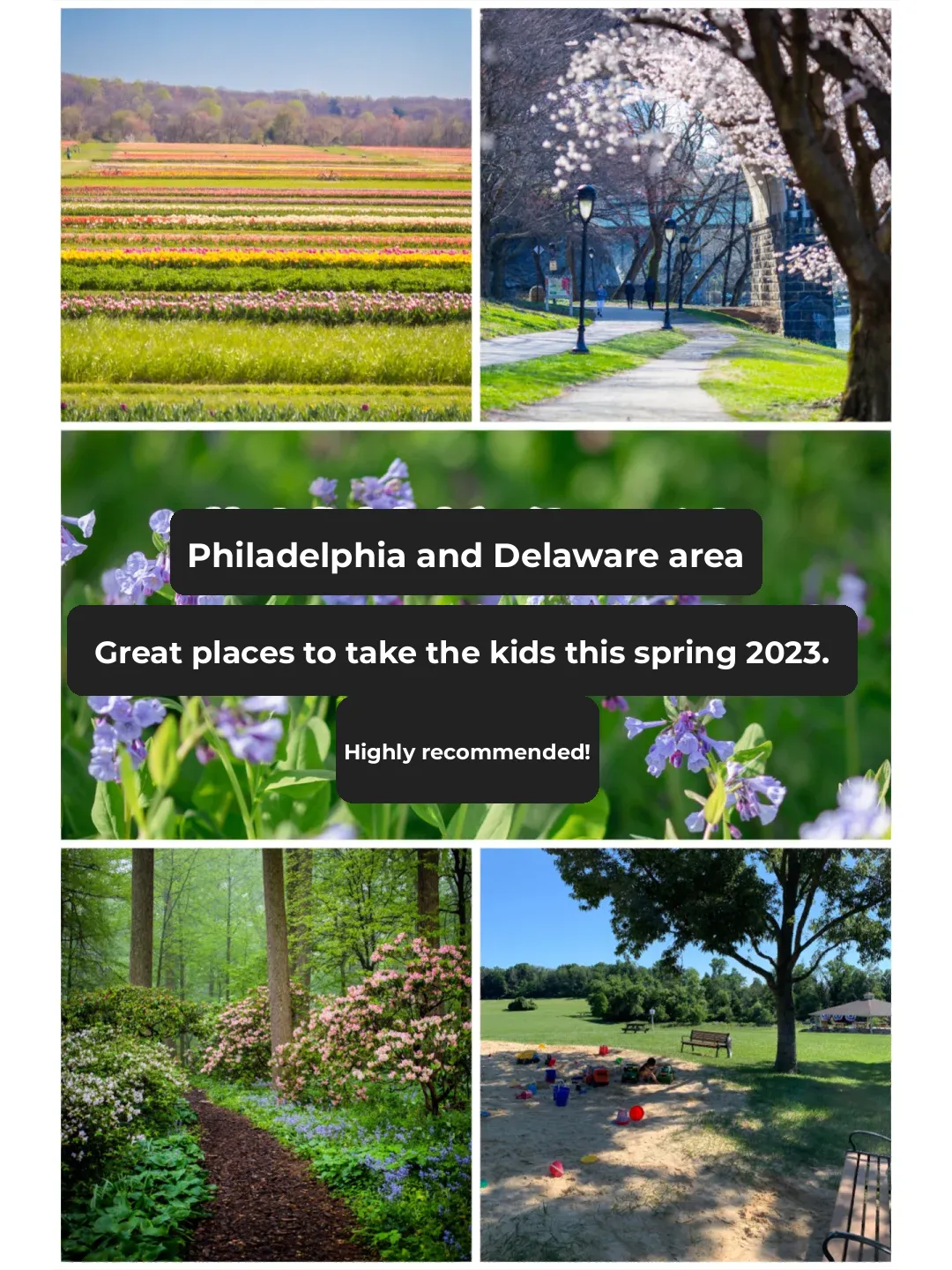 Spring 2023 Kid-Friendly Outing Plan: Philadelphia & Delaware Area