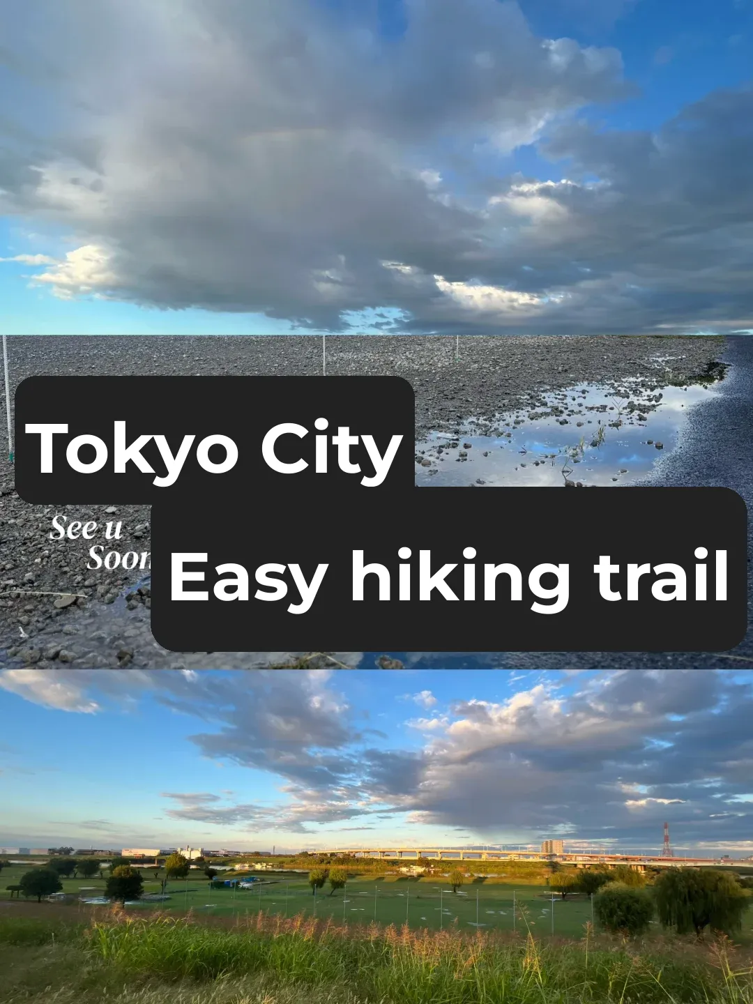 Tokyo Area | Beyond the Yamanote Line, Discover These Hiking Spots!