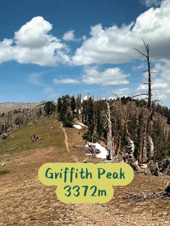 Griffith Peak Trail in Las Vegas